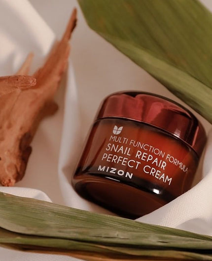 MIZON Snail Repair Perfect Cream Euphoria Cosmetics Australia