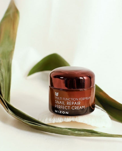 MIZON Snail Repair Perfect Cream Euphoria Cosmetics Australia